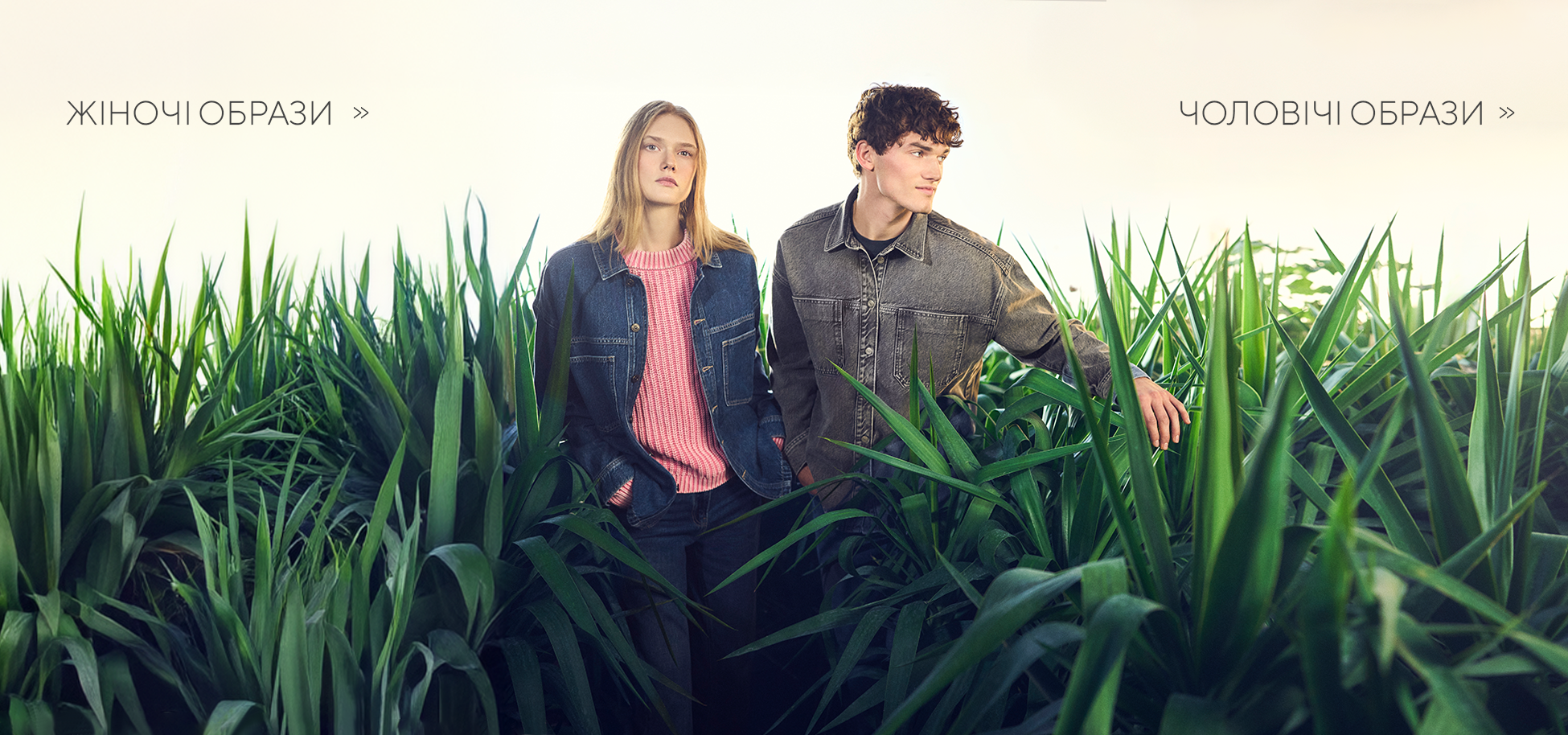 Зображення для категорії 