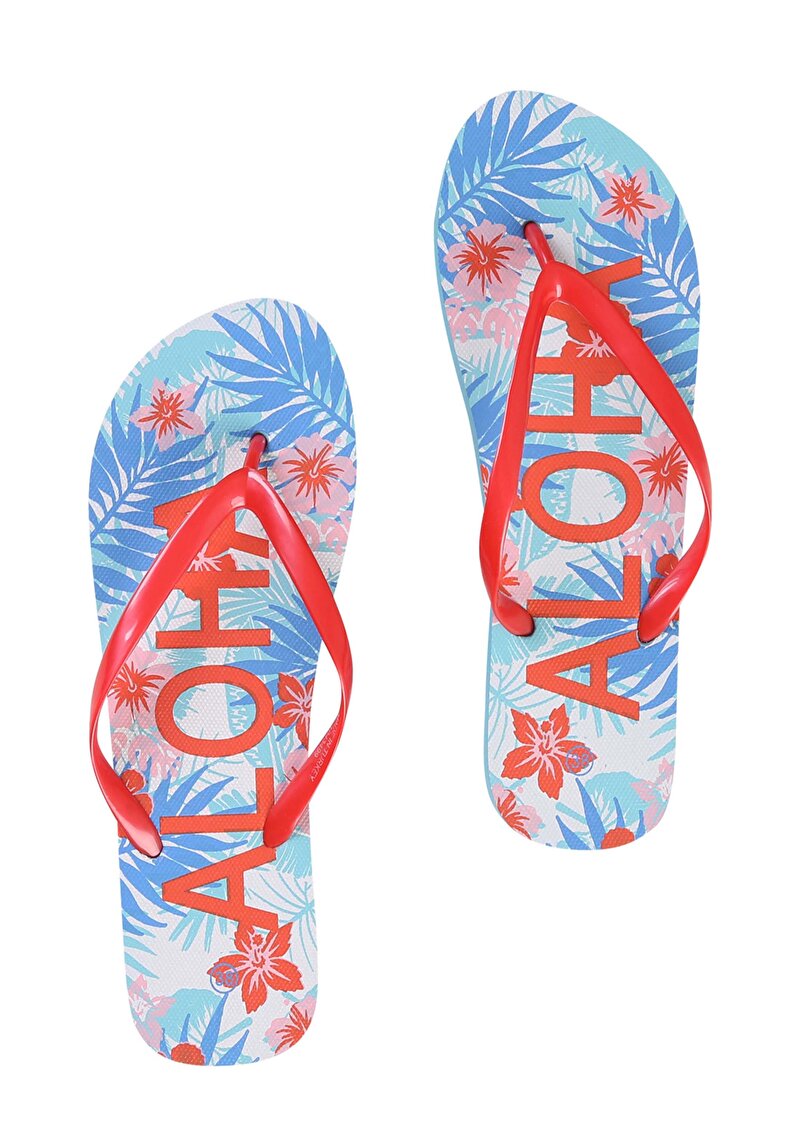 Зображення Шльопанці Жіночі Зелені  Cl1043499