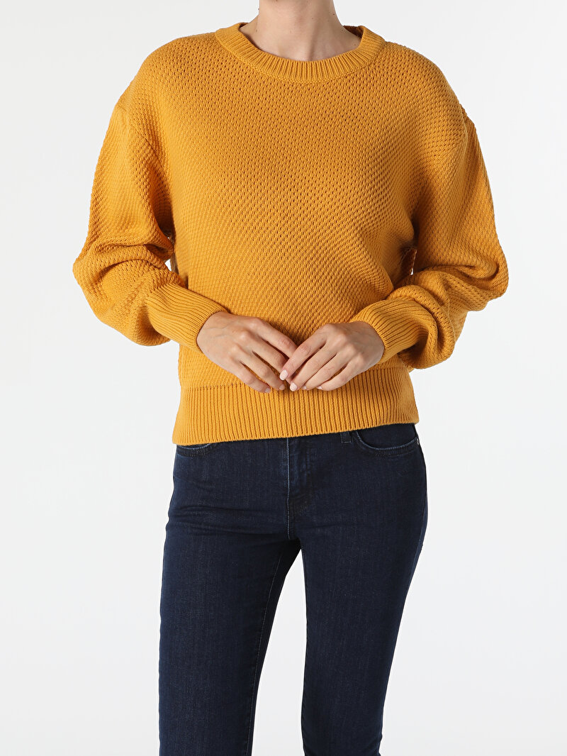 Показати інформацію про Светр Жіночий Жовтий  Cl1055436