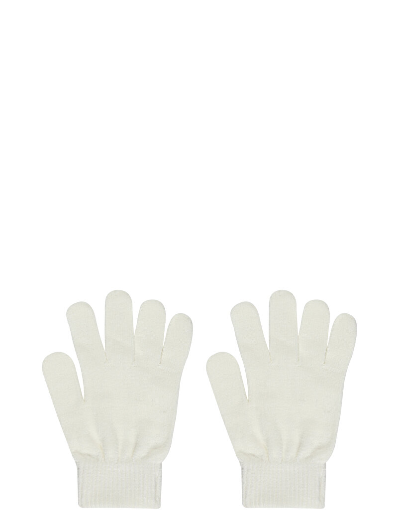 Показати інформацію про Рукавички Жіночі Мультіколор  Cl1056256