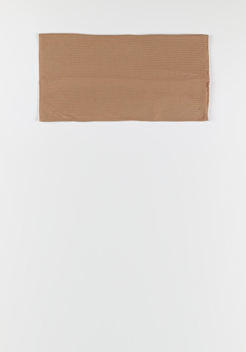 Зображення Шарф Жіночий Коричневий Cl1061324