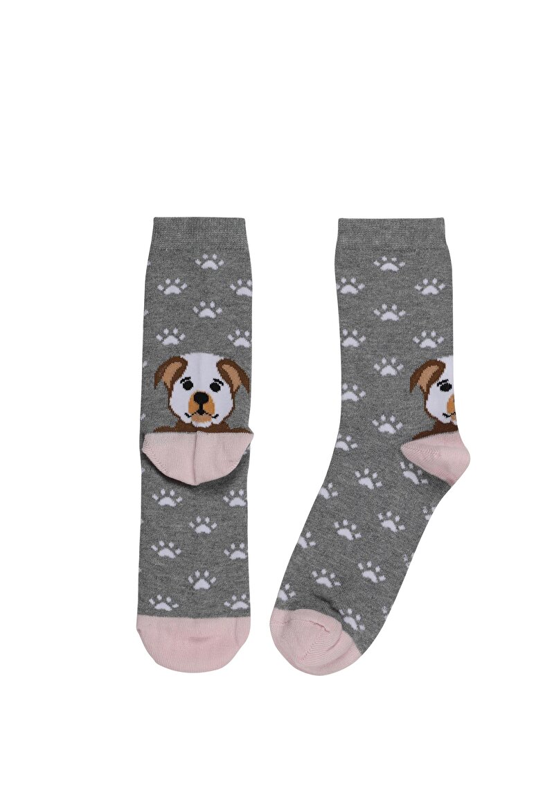 Зображення Шкарпетки Жіночі Сірі  Cl1061150