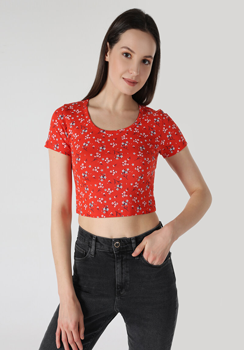 Зображення Футболка З Коротким Рукавом Жіноча Червона  Cl1063447