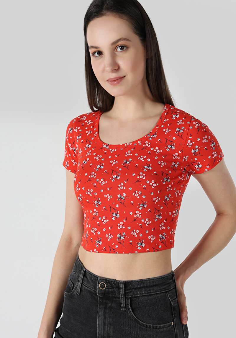 Показати інформацію про Футболка З Коротким Рукавом Жіноча Червона  Cl1063447