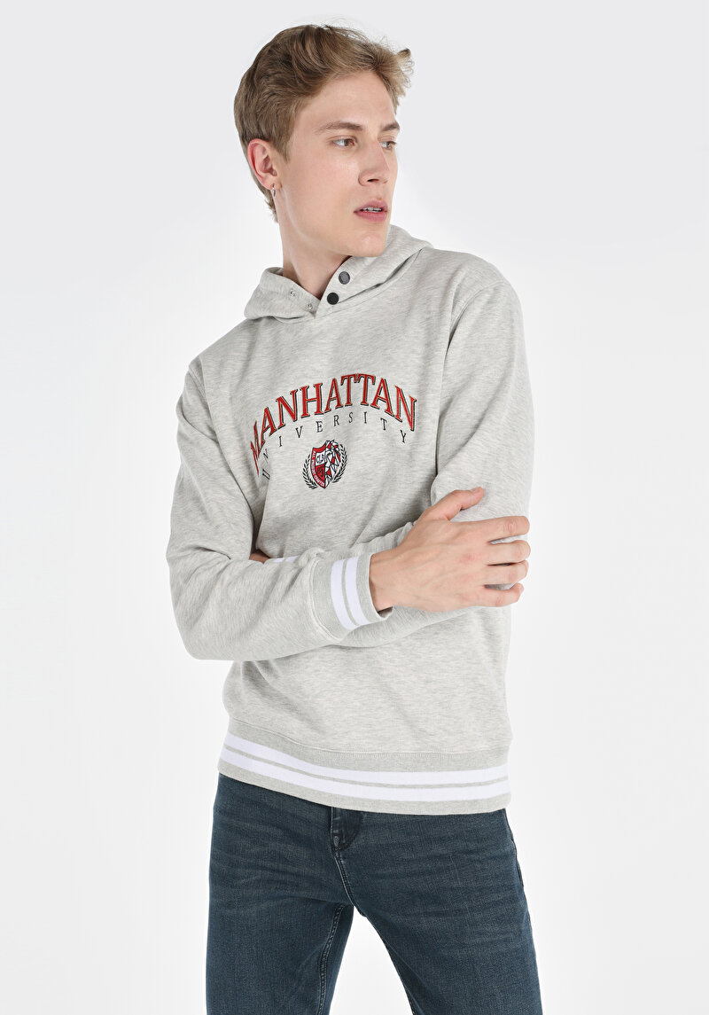 Зображення Толстовка Чоловіча Сіра  Cl1064903