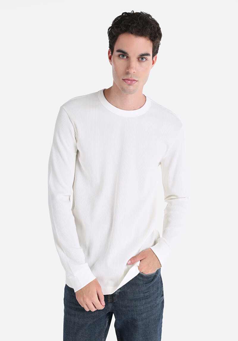 Зображення Футболка З Довгим Рукавом Чоловіча Бежева Cl1061771