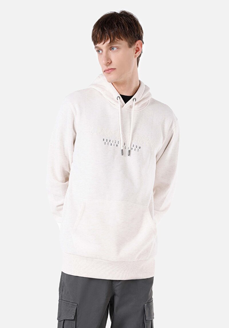 Зображення Толстовка Чоловіча Сіра  Cl1066844