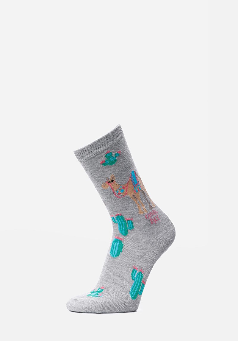 Зображення Шкарпетки Жіночі Сірі  Cl1066910