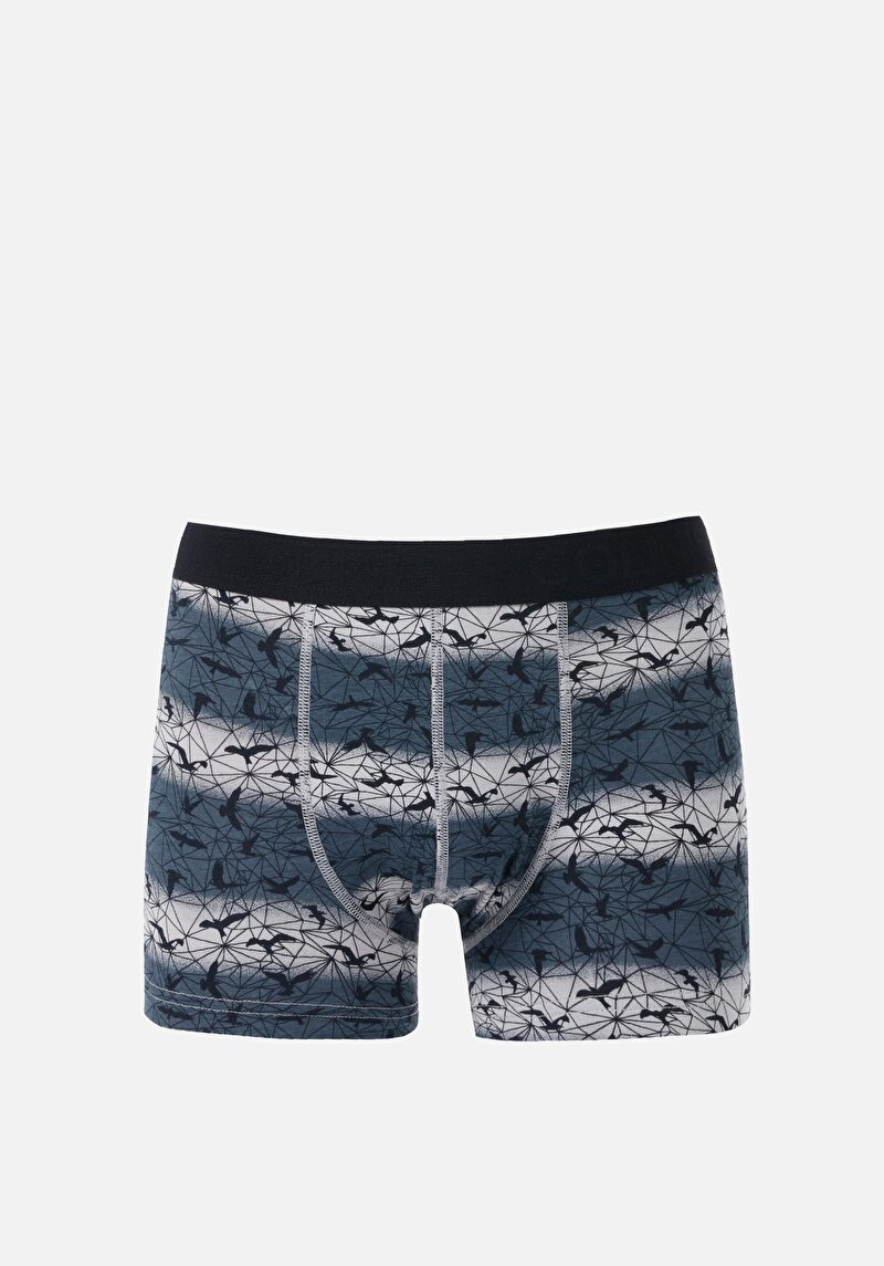 Зображення Нижня Білизна Чоловіча Сіра  Cl1069345