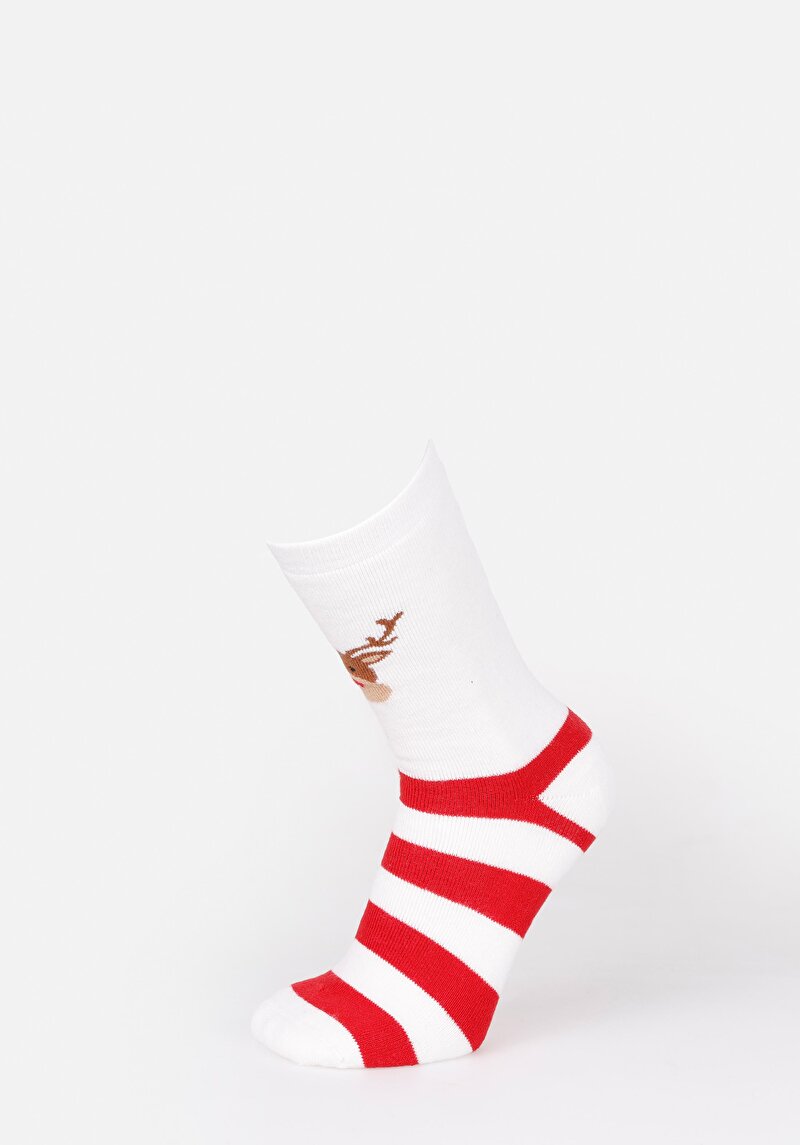 Зображення Шкарпетки Жіночі Бежеві  Cl1071570