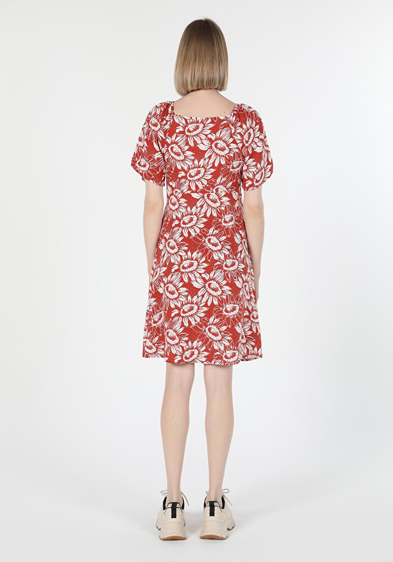 Показати інформацію про Сукня Жіноча Коричнева  Cl1058854