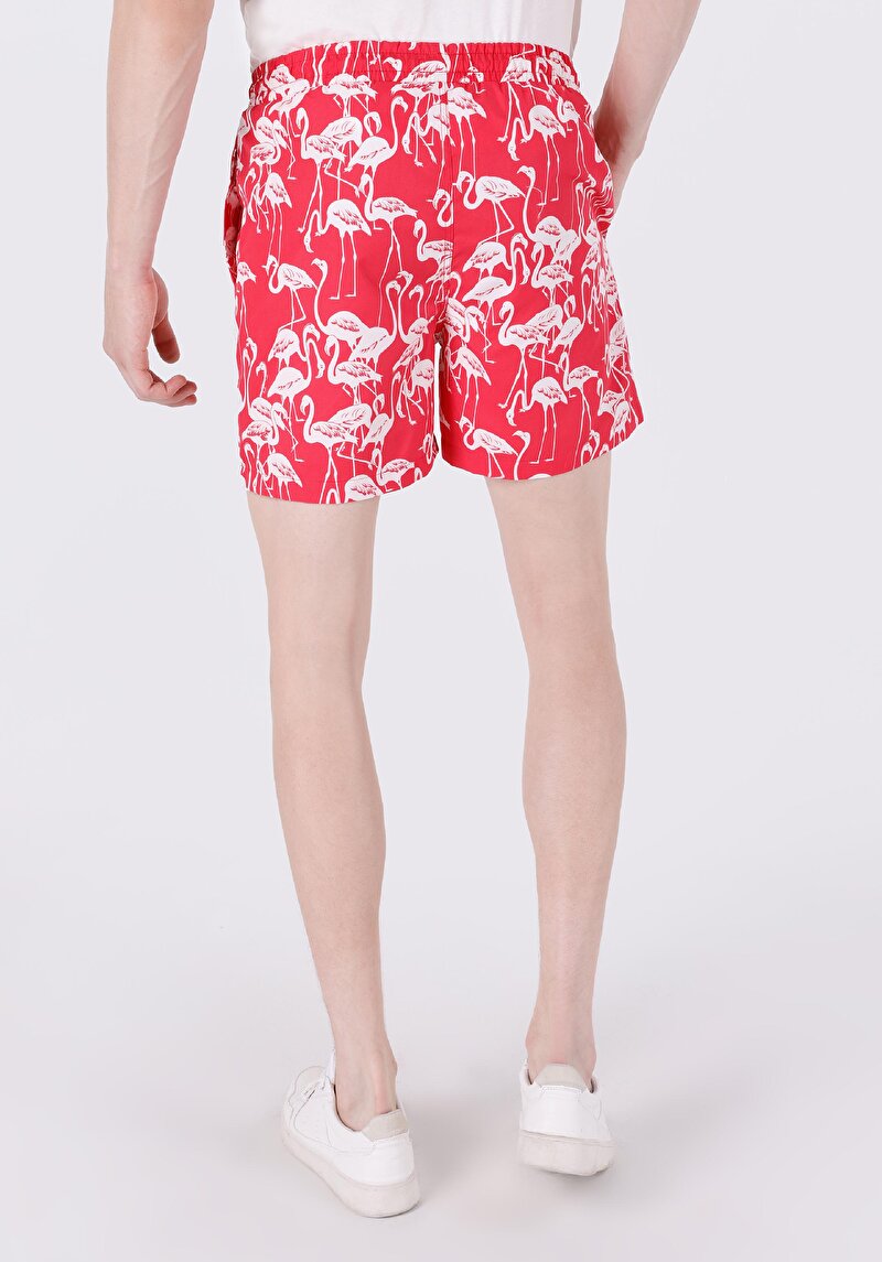 Показати інформацію про Шорти Пляжні Чоловічі Червоні  Cl1063400
