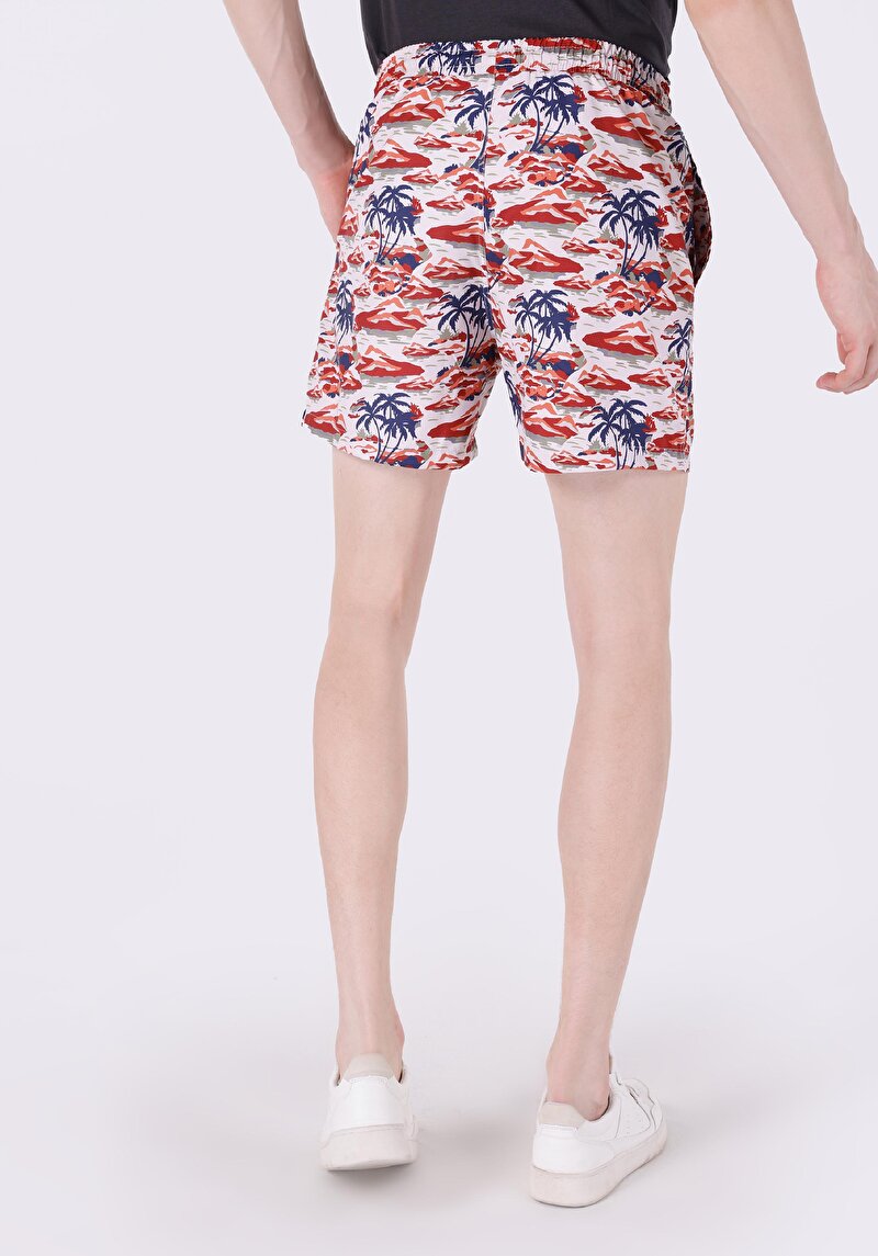 Показати інформацію про Шорти Пляжні Чоловічі Мультіколор  Cl1063479