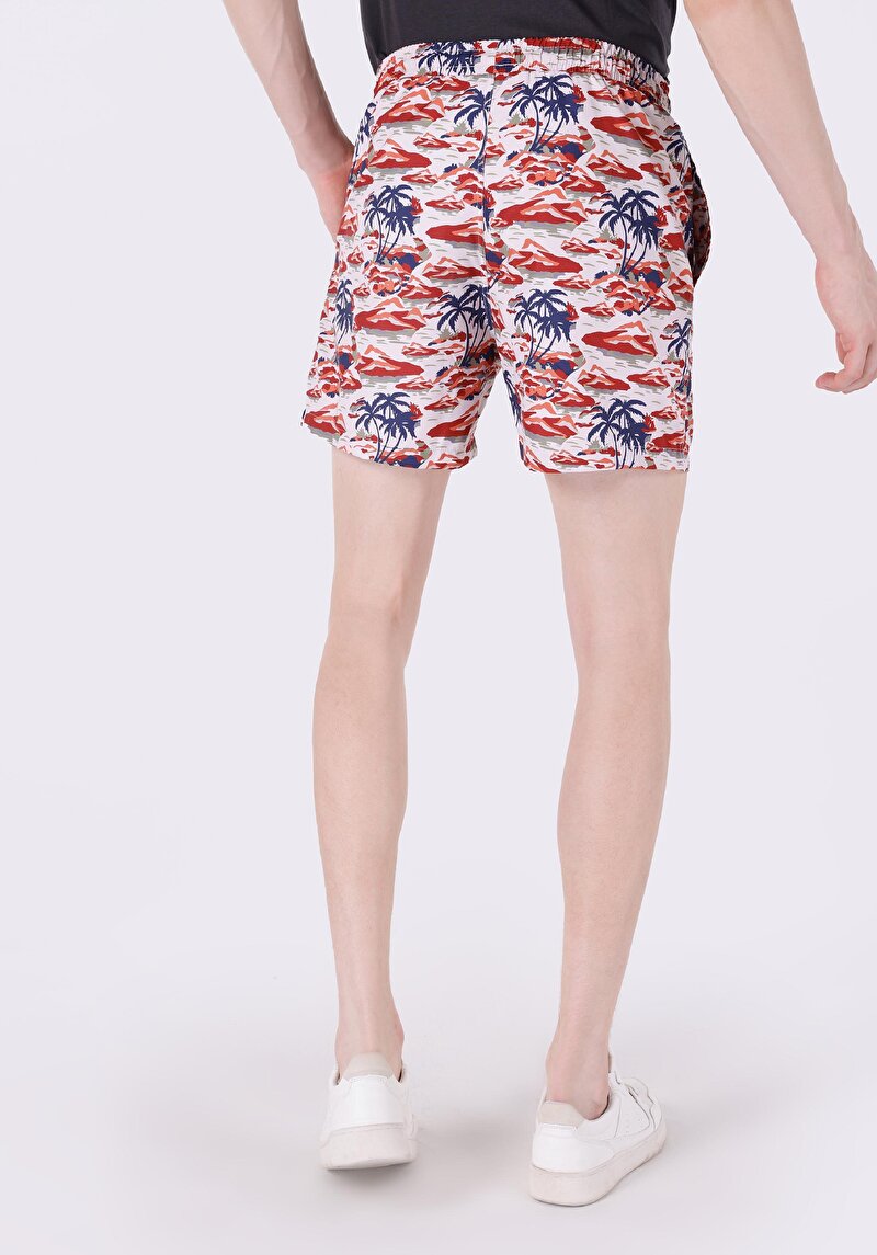 Зображення Шорти Пляжні Чоловічі Мультіколор Cl1063479