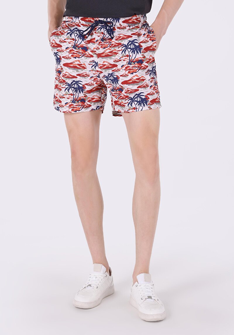 Зображення Шорти Пляжні Чоловічі Мультіколор Cl1063479