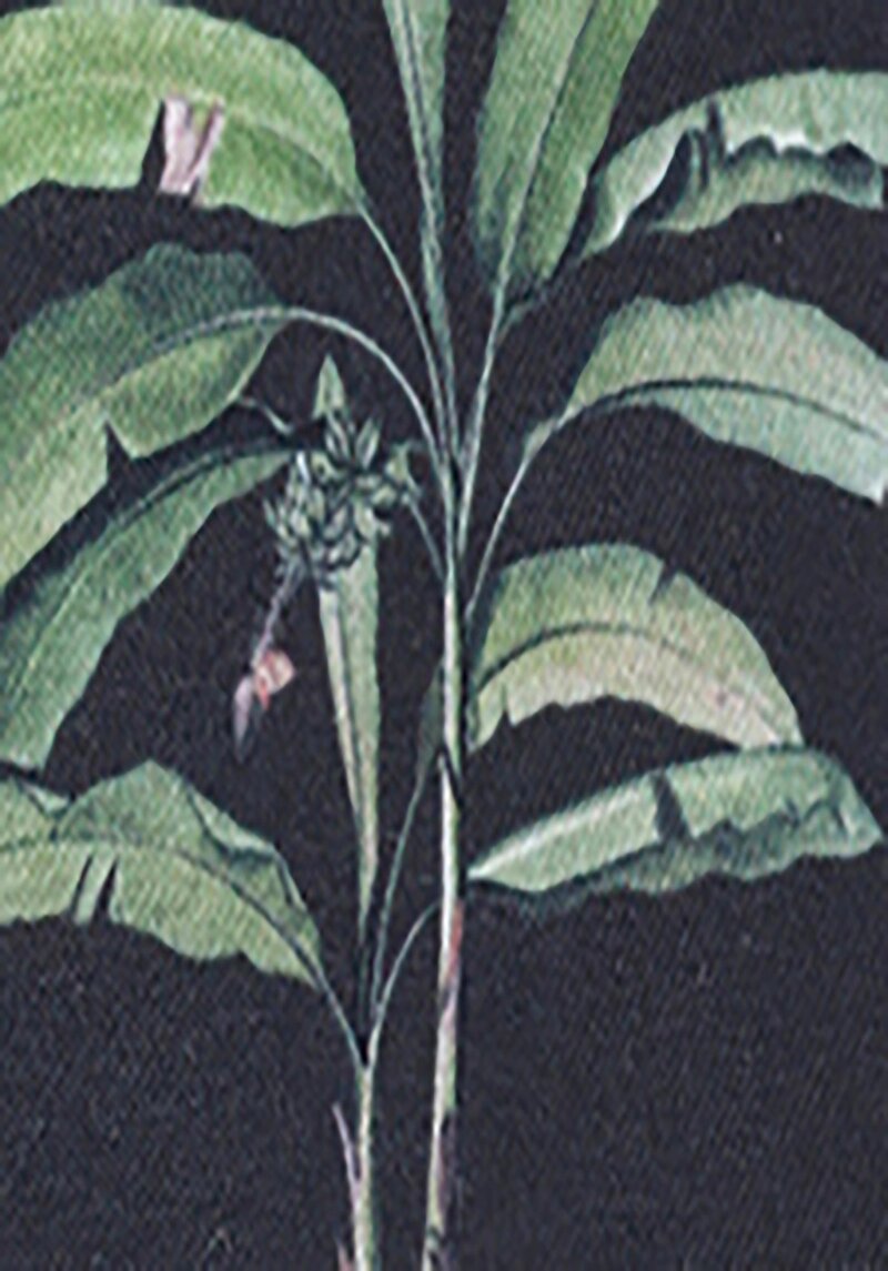 Показати інформацію про Шорти Пляжні Чоловічі Чорні  Cl1068155