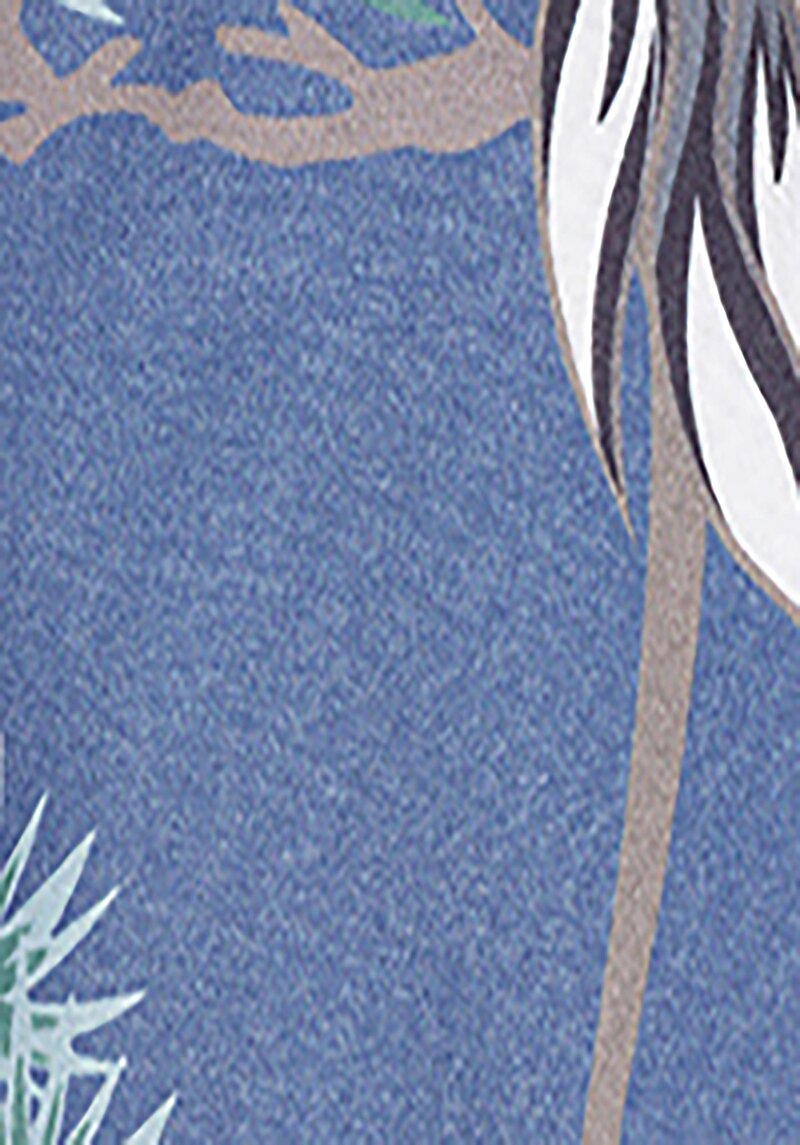 Показати інформацію про Шорти Пляжні Чоловічі Сині  Cl1068176