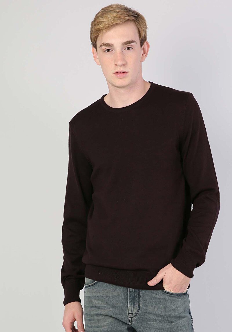 Зображення Светр Чоловічий Фіолетовий Cl1023186