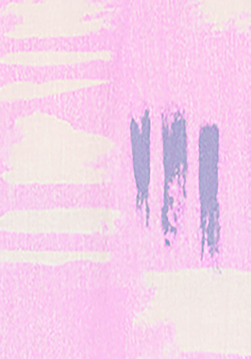 Показати інформацію про Сорочка З Довгим Рукавом Жіноча Рожева  Cl1068909