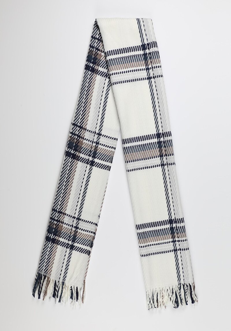 Зображення Шарф Жіночий Мультіколор  Cl1056248