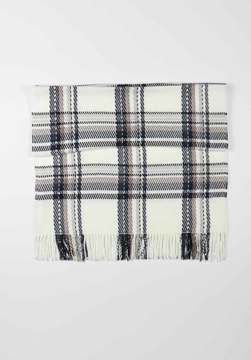 Показати інформацію про Шарф Жіночий Мультіколор  Cl1056248