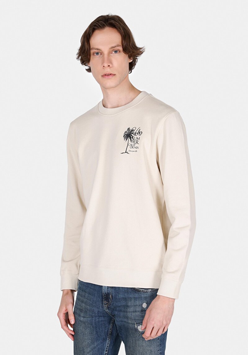 Зображення Толстовка Чоловіча Бежева  Cl1069947