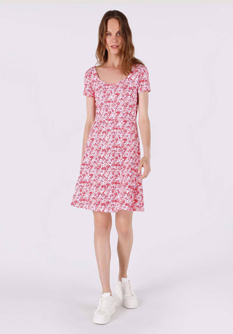 Зображення Сукня Жіноча Мультіколор  Cl1060796