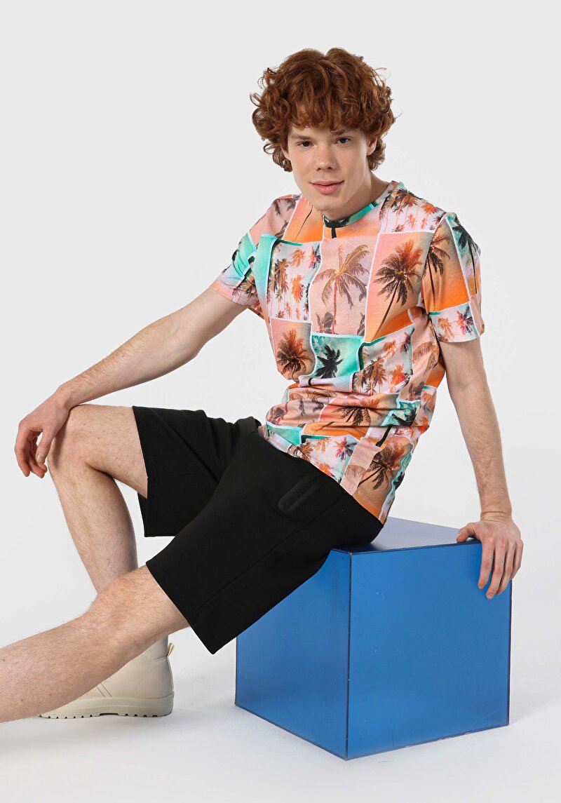 Зображення Футболка З Коротким Рукавом Чоловіча Мультіколор  Cl1064129