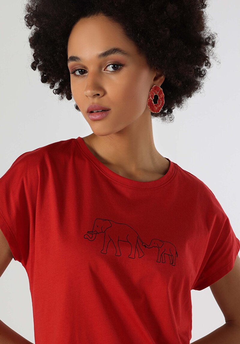 Показати інформацію про Футболка З Коротким Рукавом Жіноча Помаранчева  Cl1063440