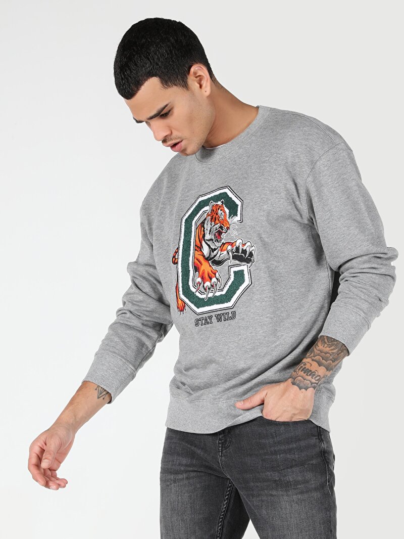 Зображення Толстовка Чоловіча Сіра Cl1062532