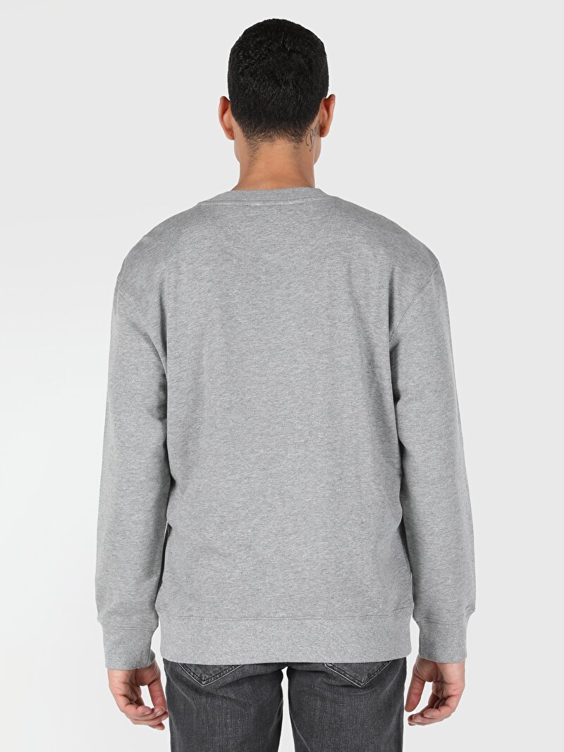 Зображення Толстовка Чоловіча Сіра Cl1062532