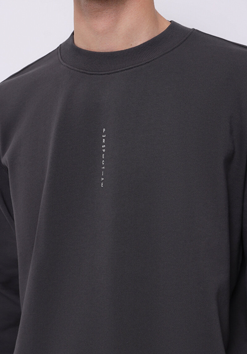 Зображення Толстовка Чоловіча Сіра Cl1075712