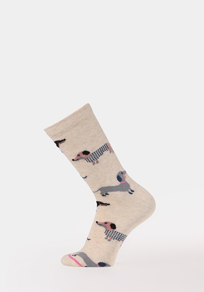 Зображення Шкарпетки Жіночі Бежеві  Cl1078122
