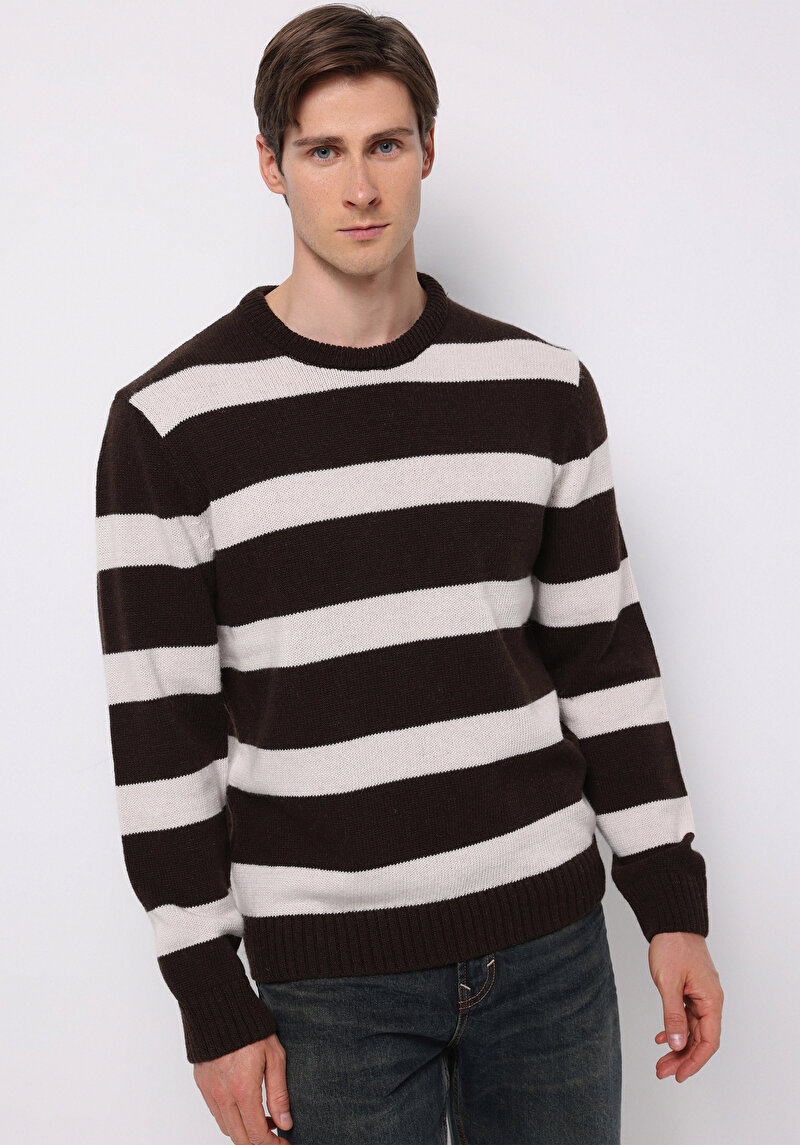 Зображення Светр Чоловічий Коричневий  Cl1077287