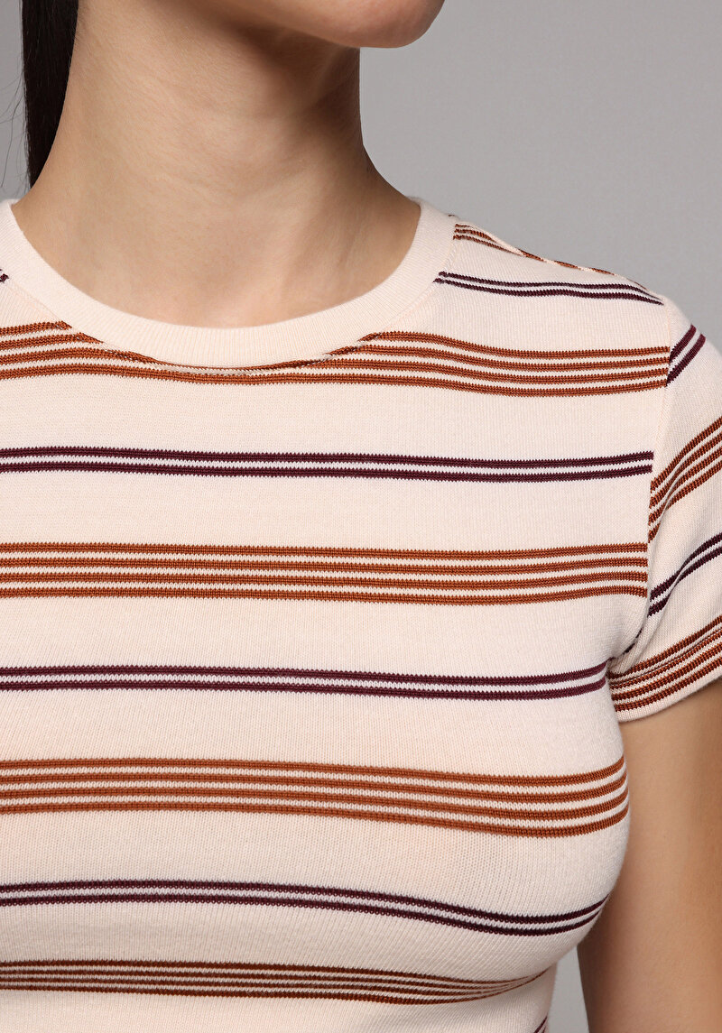 Зображення Светр Із Коротким Рукавом Жіночий Мультіколор Cl1077953