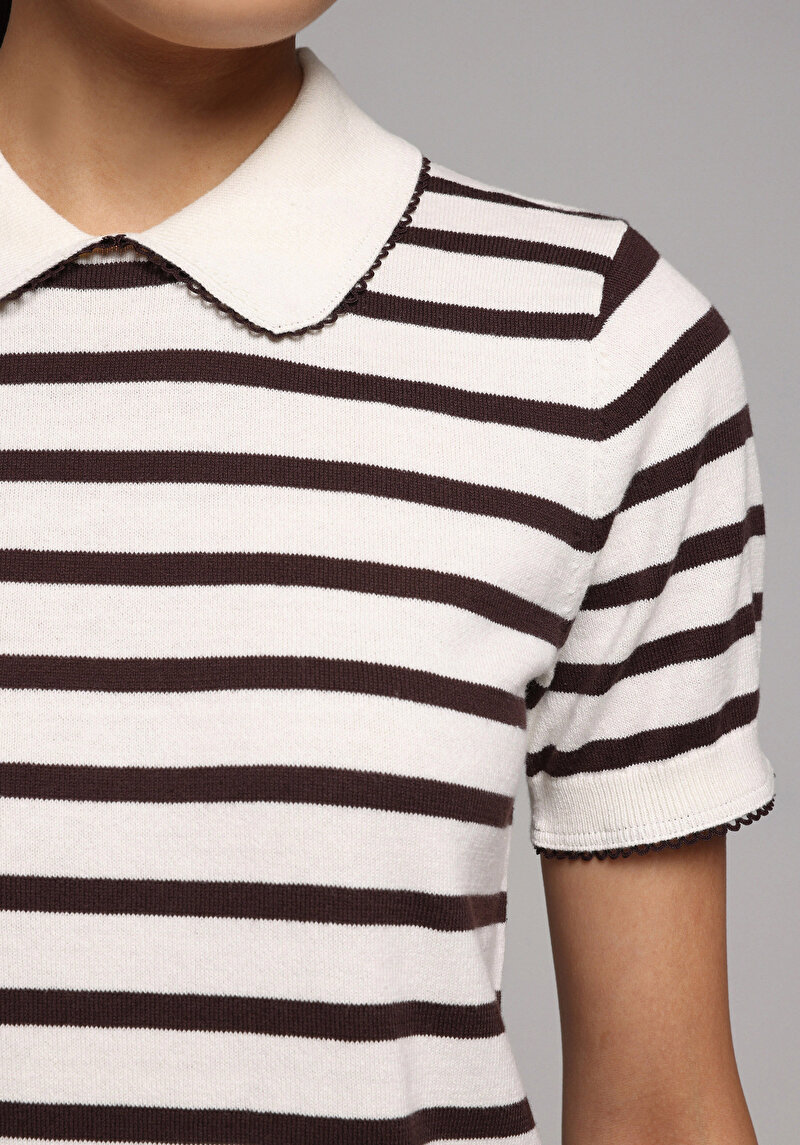 Зображення Светр Із Коротким Рукавом Жіночий Коричневий