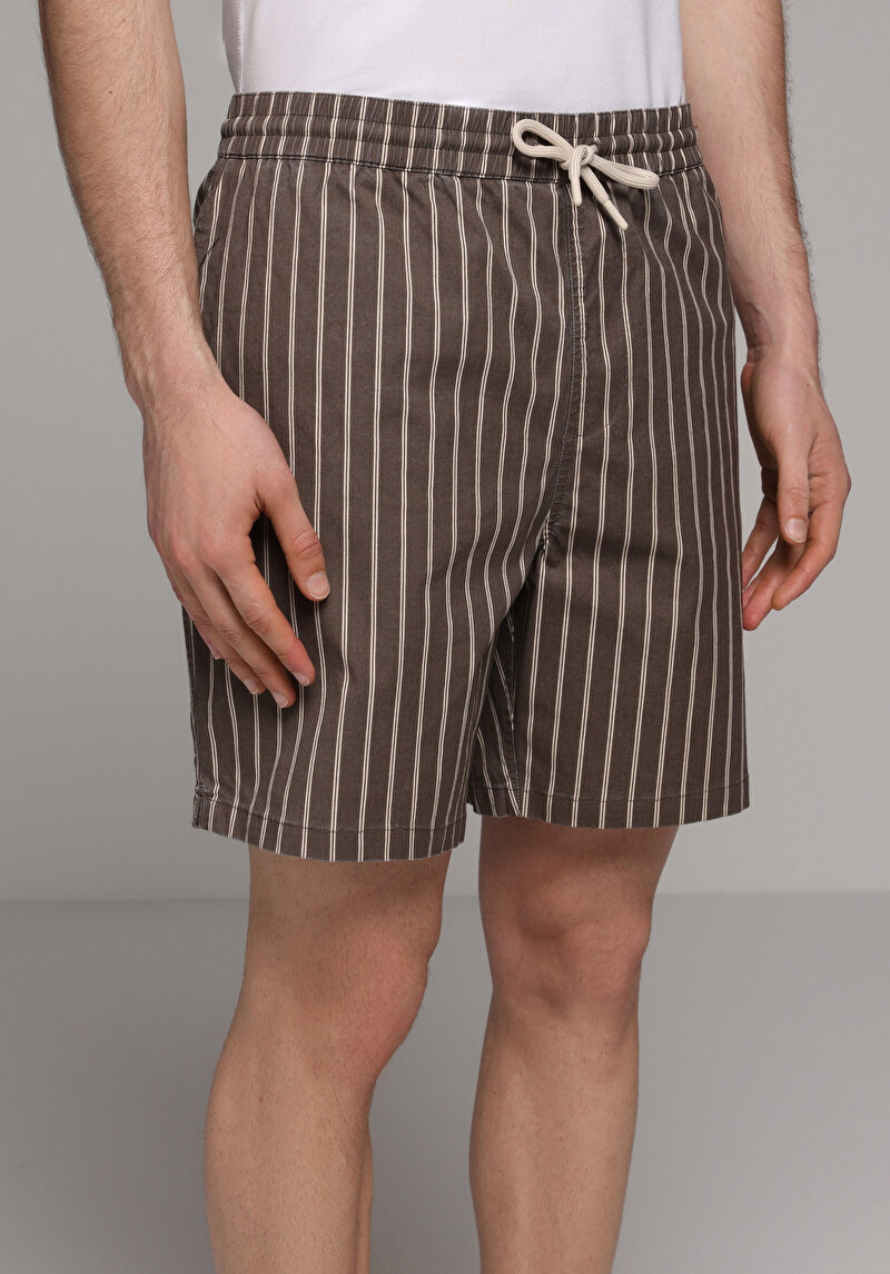 Зображення Шорти Пляжні Чоловічі Коричневі