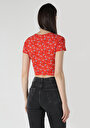 thumb-Показати інформацію про Футболка З Коротким Рукавом Жіноча Червона  Cl1063447