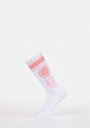 thumb-Показати інформацію про Шкарпетки Жіночі Білі  Cl1072391